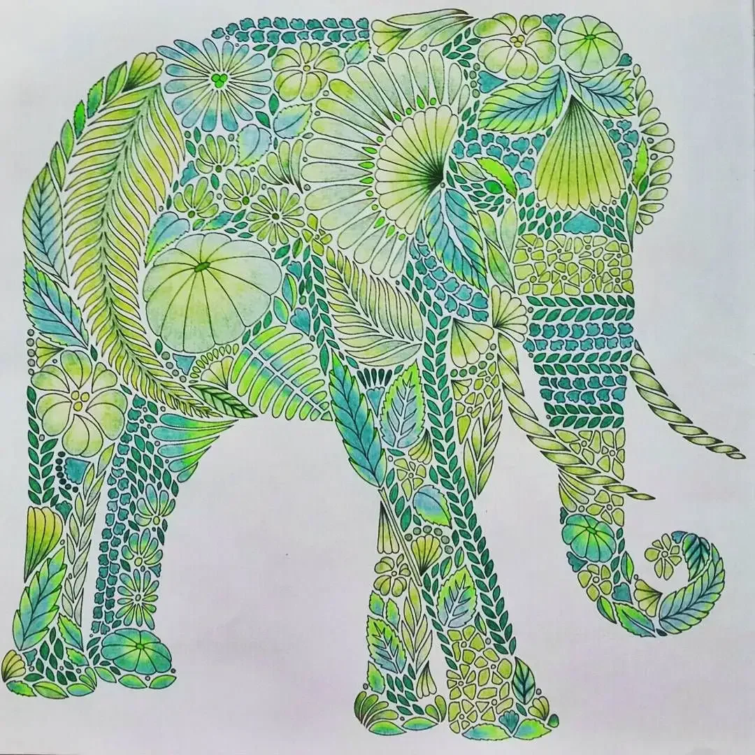 Мадди Маротта