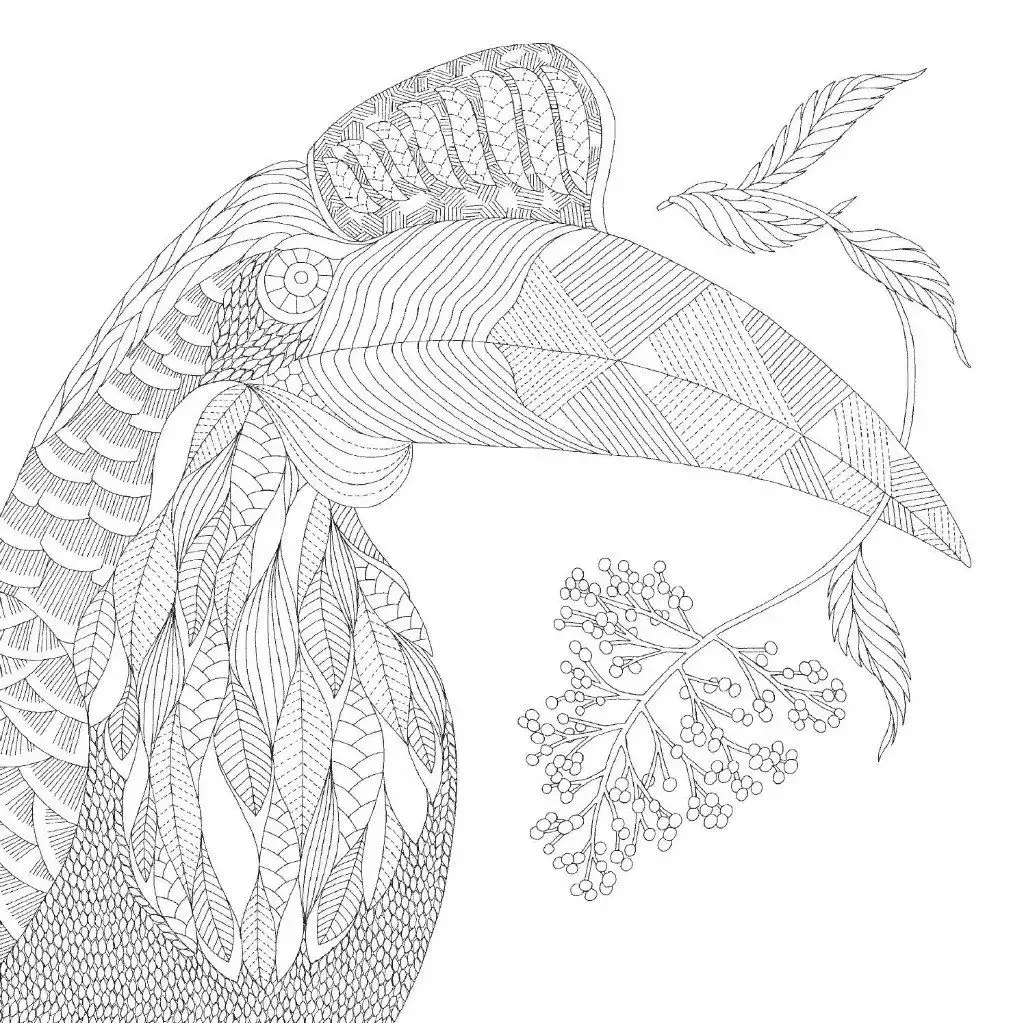 Милли Маротта "дивные птицы"