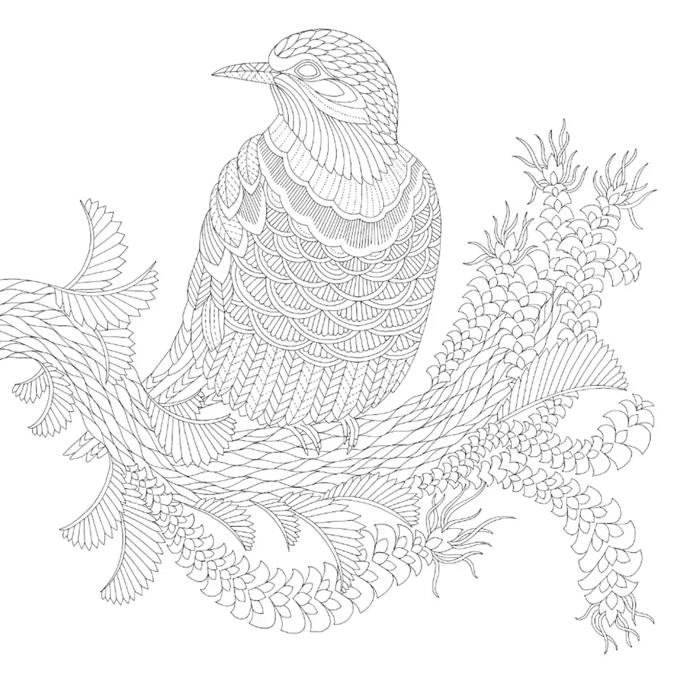 Милли Маротта тайны моря