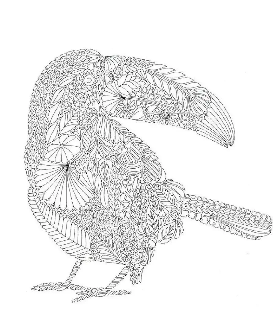 Тукан Милли Маротта