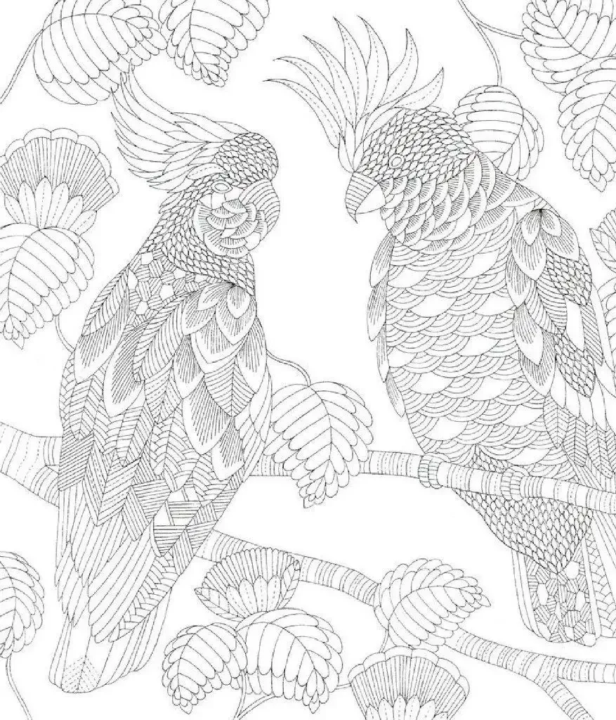 Милли Маротта птицы