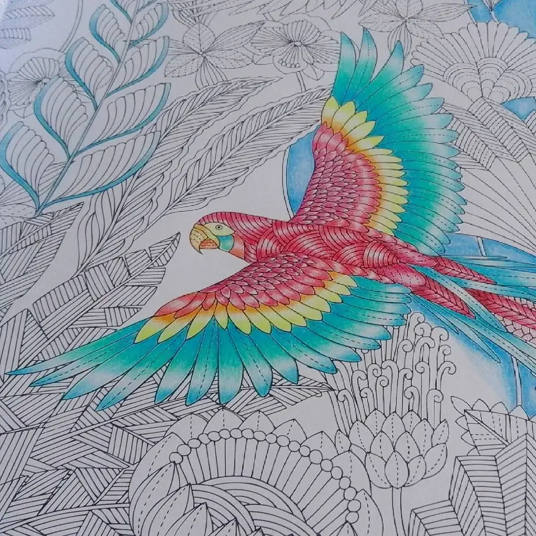 Маротта Милли "чудеса природы"