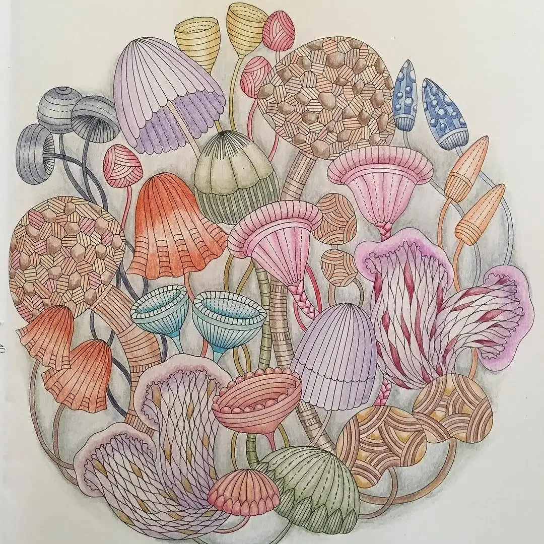 Милли Маротта в стране чудес Раскрашенные