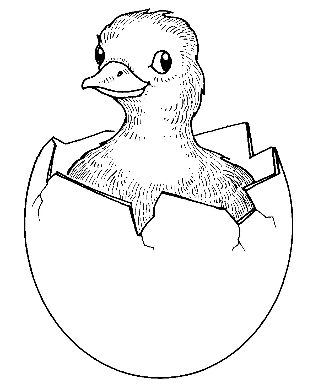 Рисунки для срисовки цыпленок