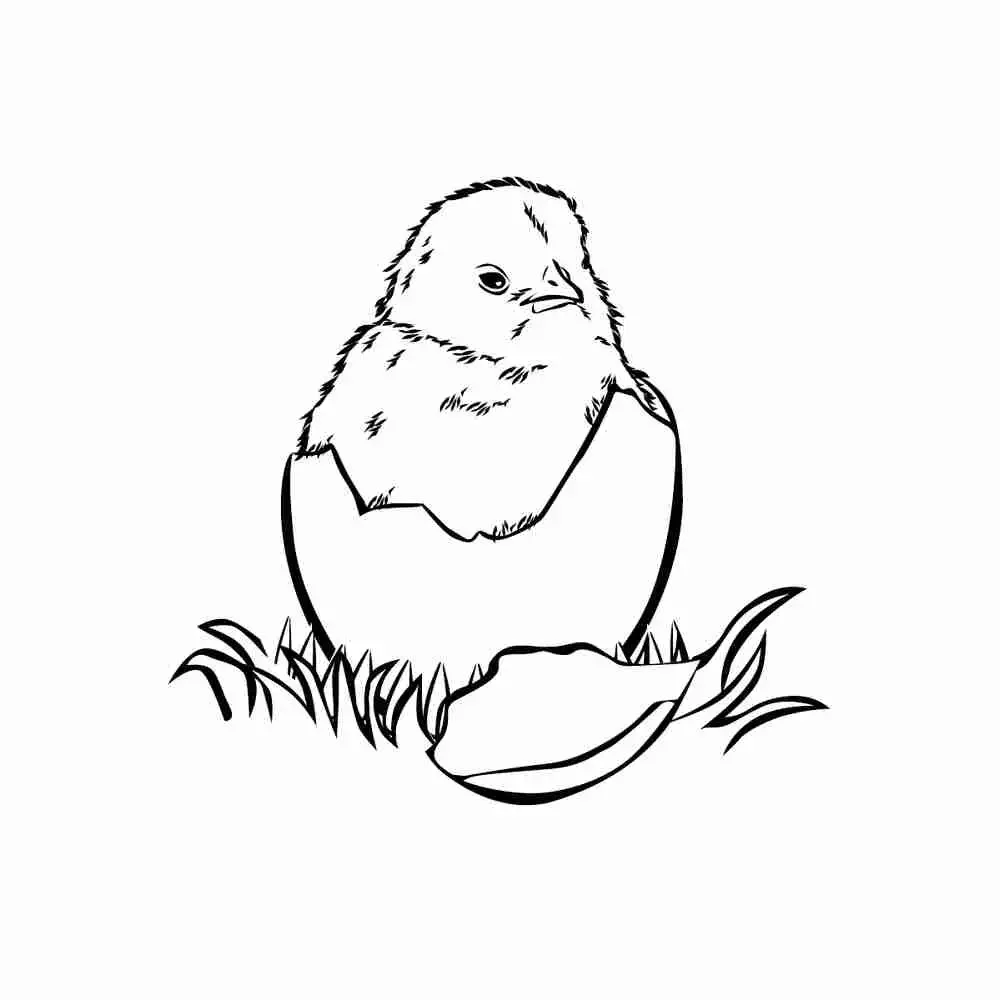 Цыпленок и утенок раскраска