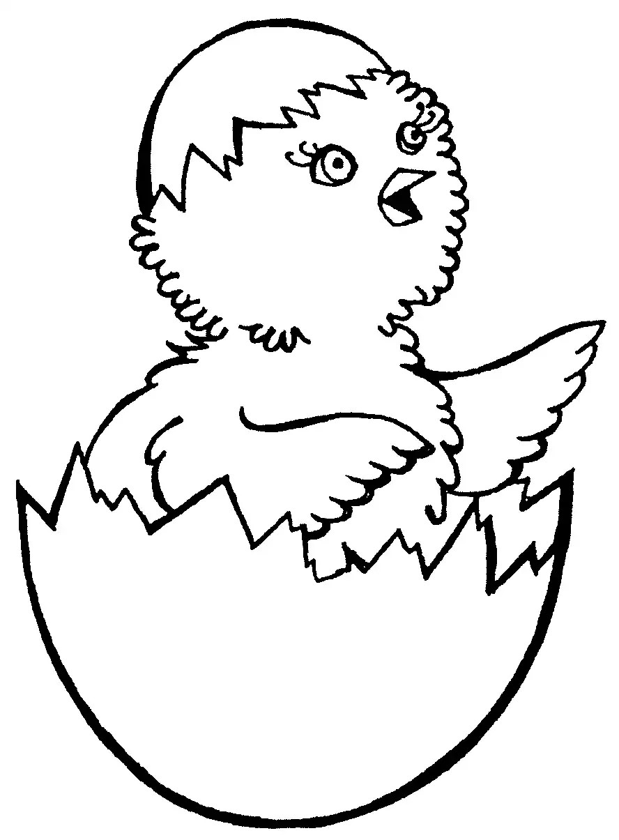 Цыпленок. Раскраски
