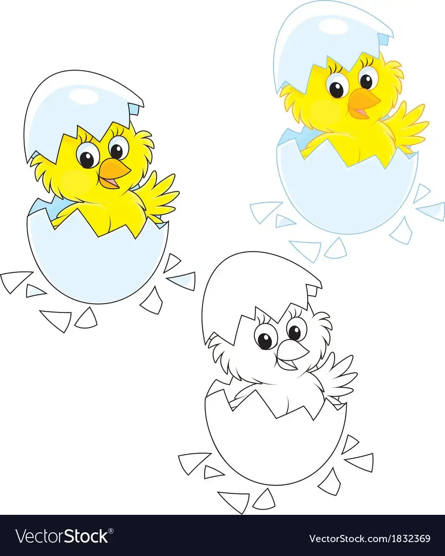 Цыпленок раскраска для детей