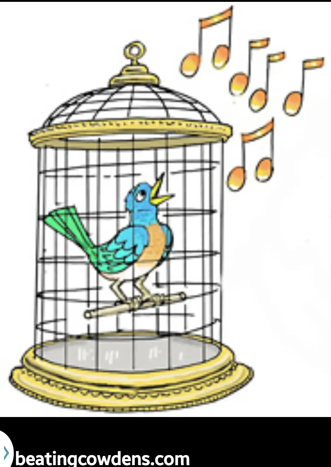 Птички на ветке ч/б