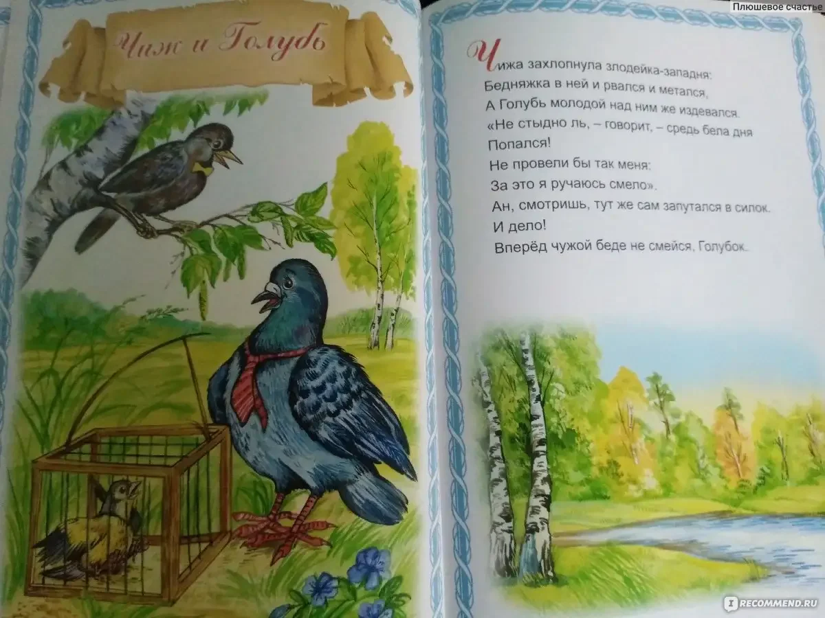 Чижик раскраска для детей