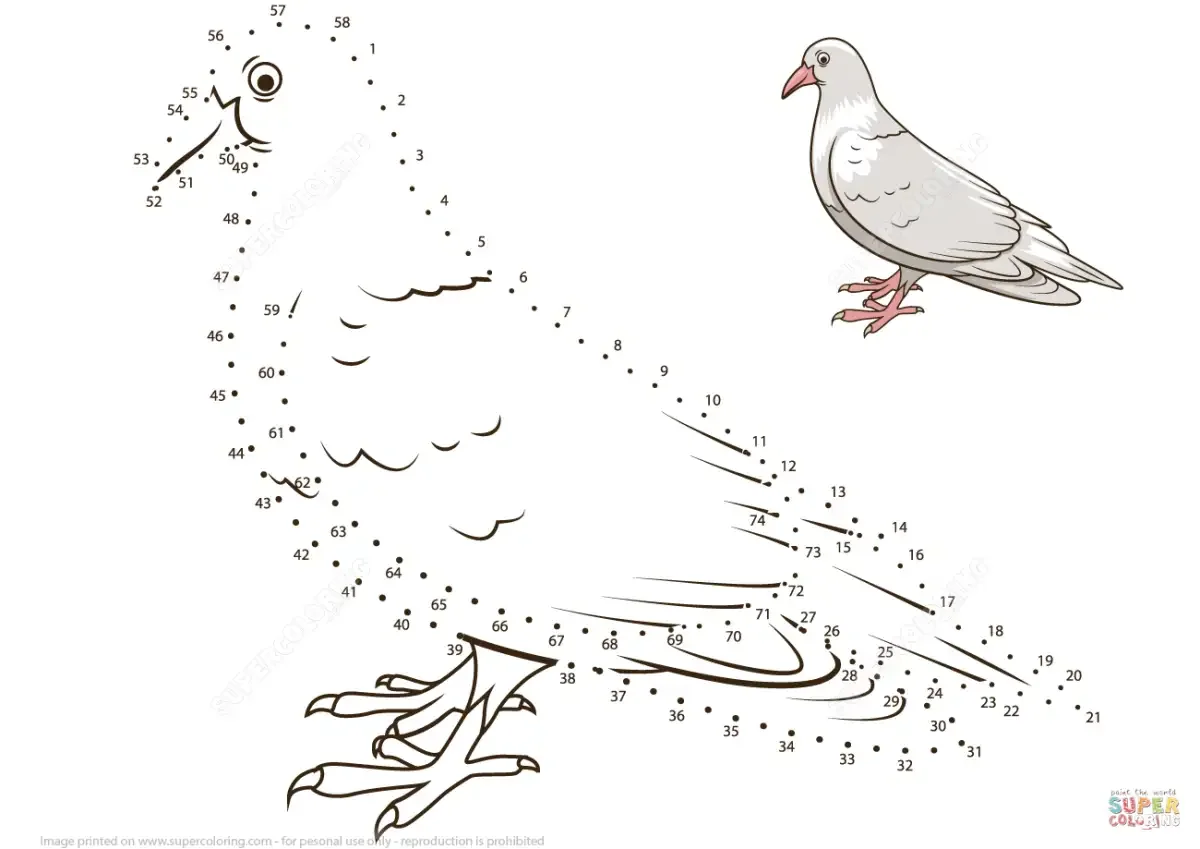 Канарейка раскраска для детей