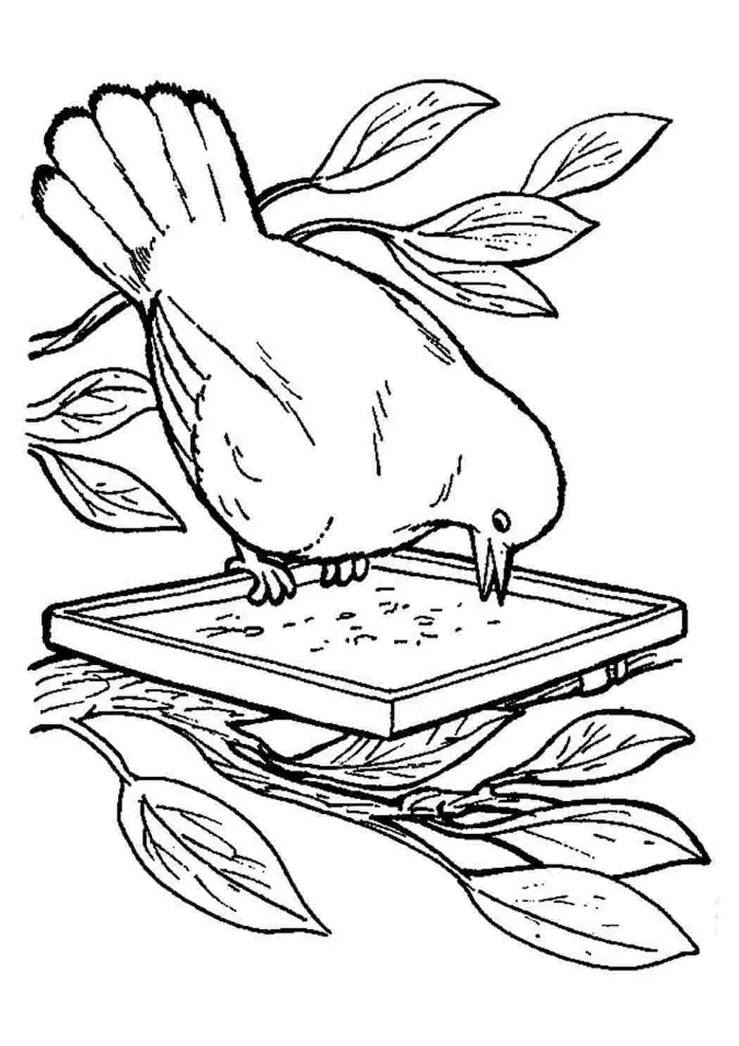 Нарисовать оранжевое горлышко Бианки