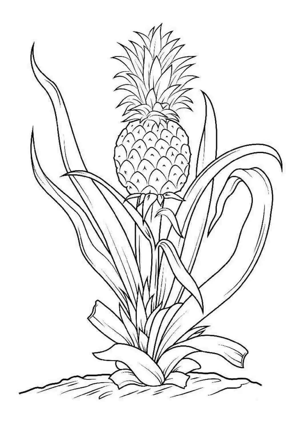 Кактус раскраска