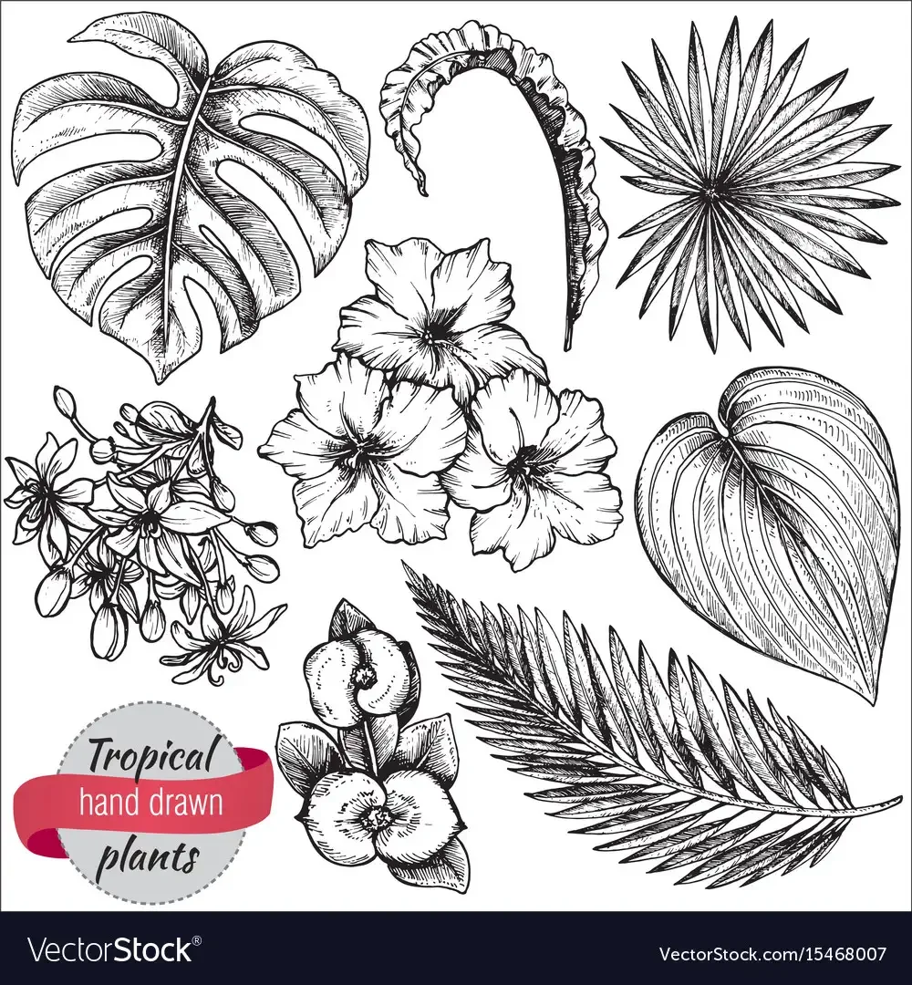 Трафареты цветов для вышивания