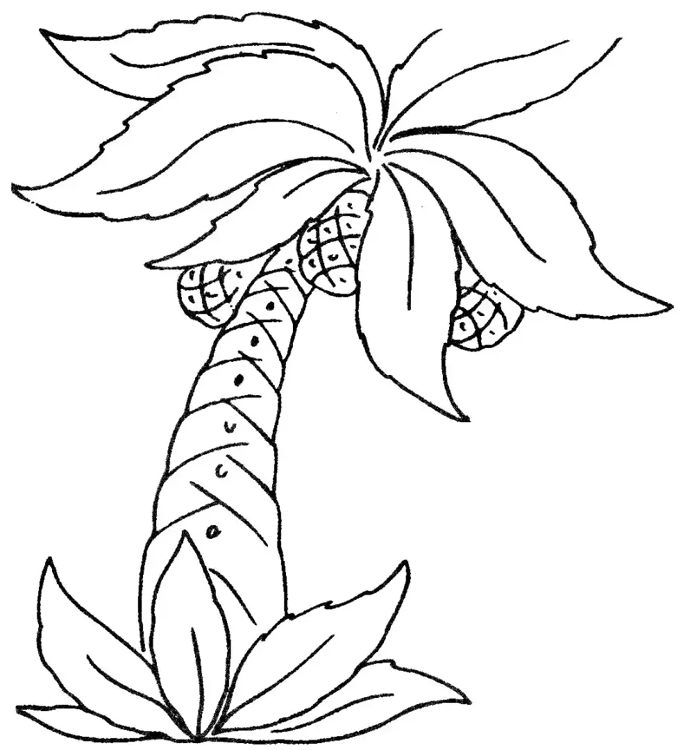 Овощи и фрукты раскраска банан