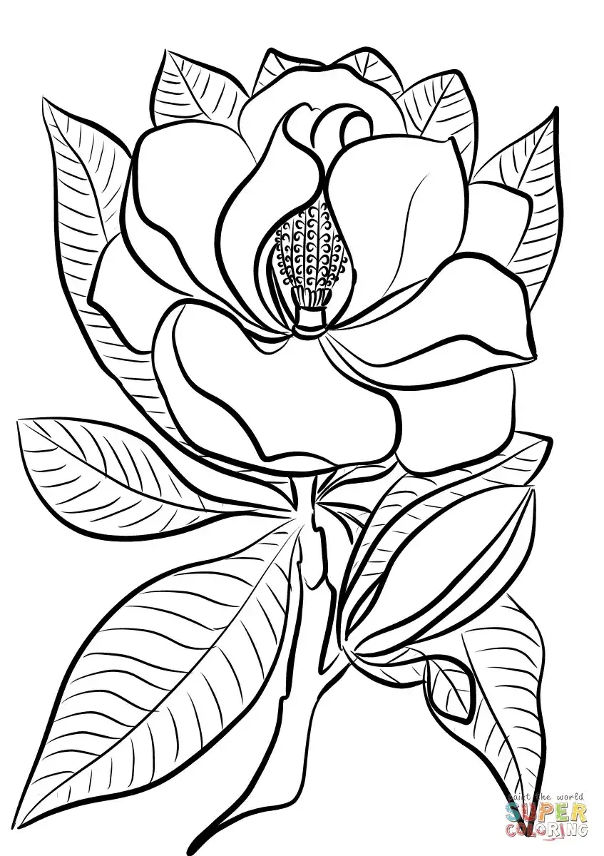 Раскраски экзотические растения