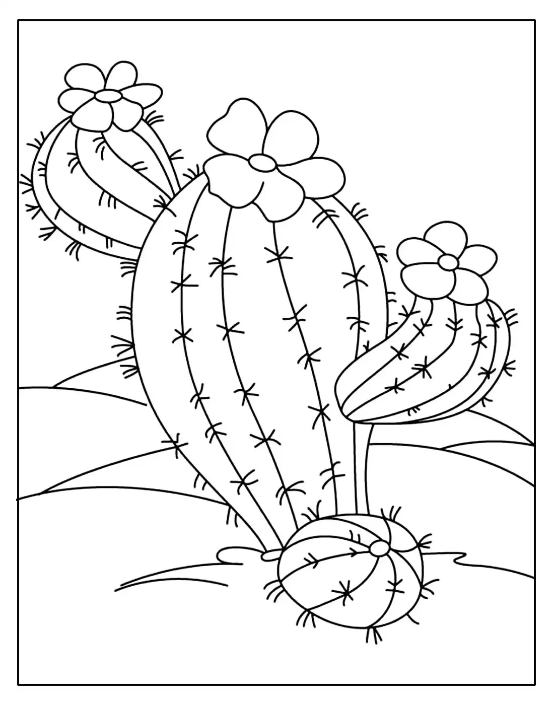 Экзотические растения раскраска