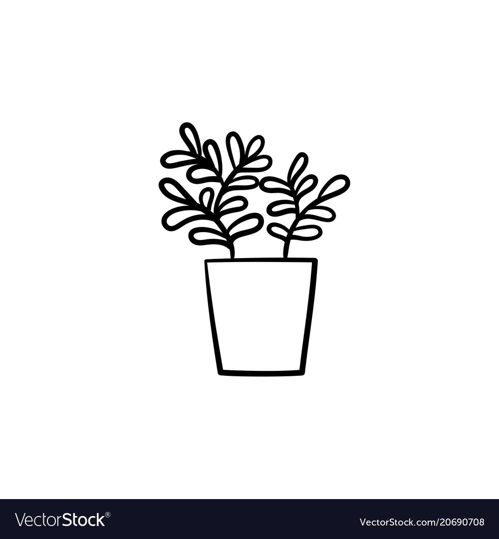 Цветок в горшке рисунок карандашом