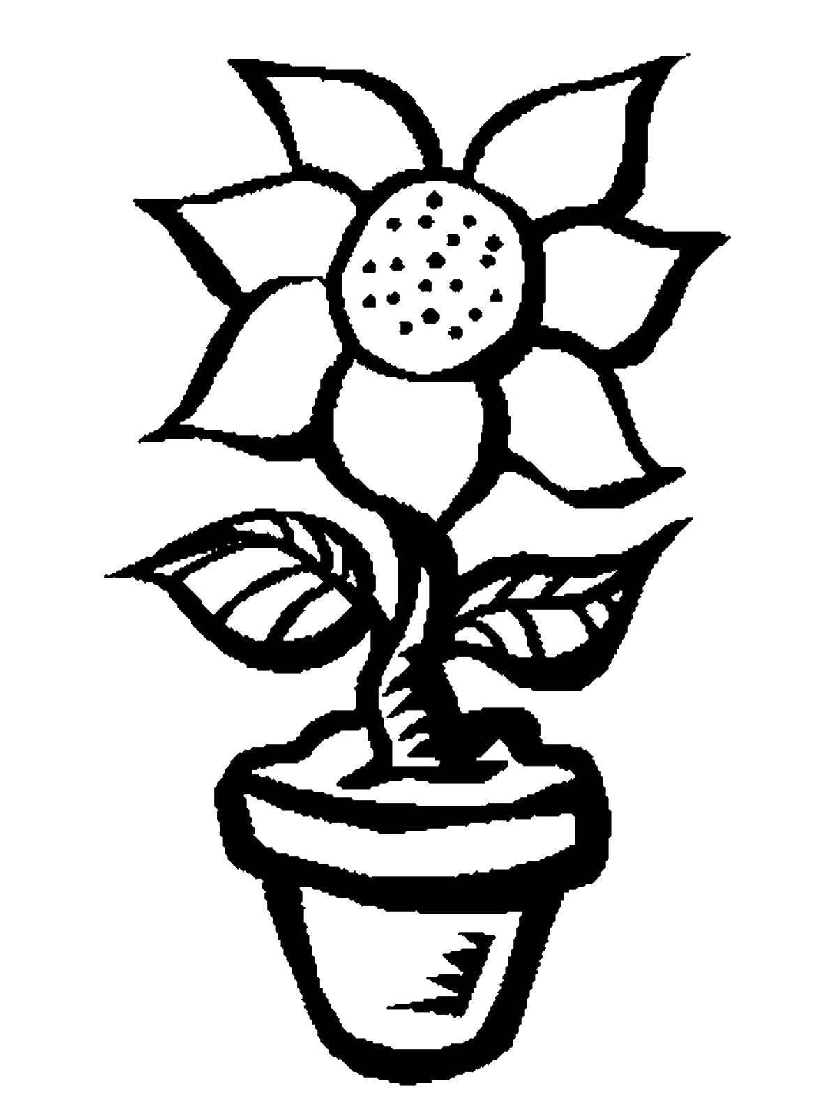 Цветок одной линией