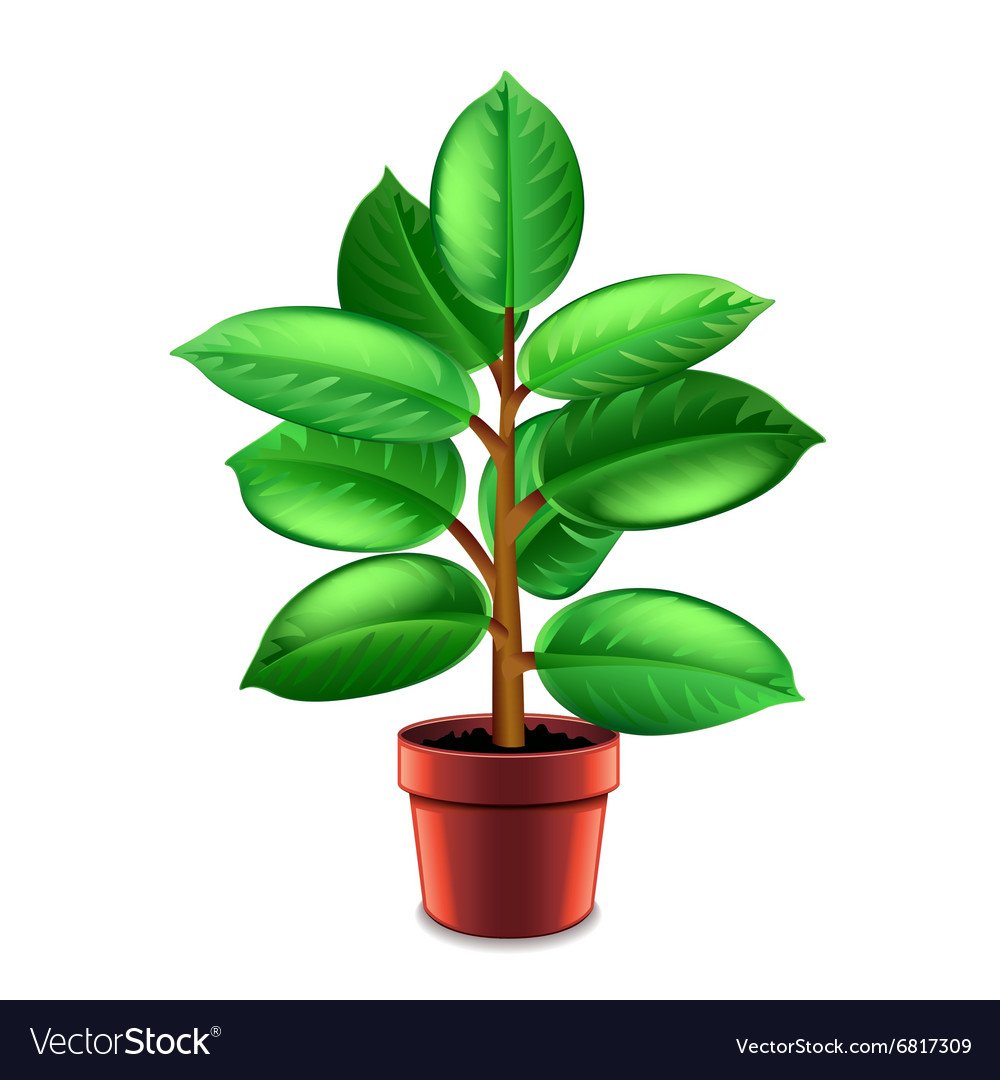 Схематичное изображение цветка в горшке