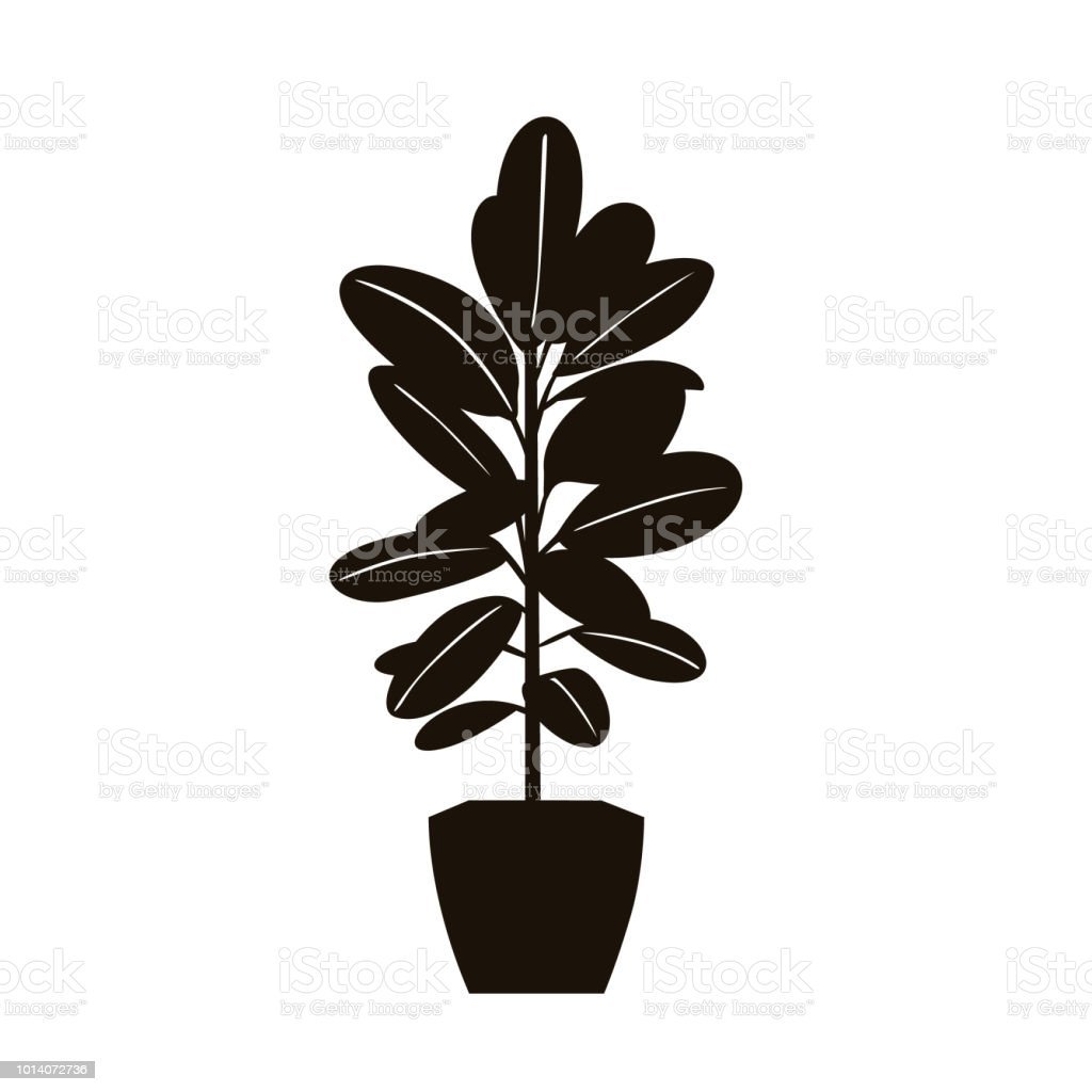 Лист растения раскраска