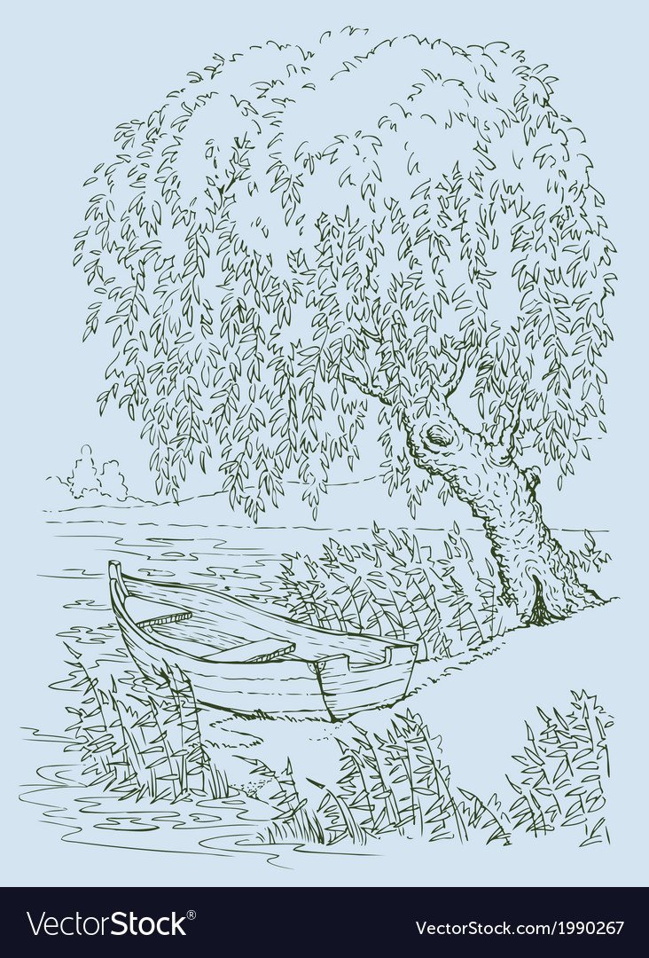 Раскраска природа, Березки