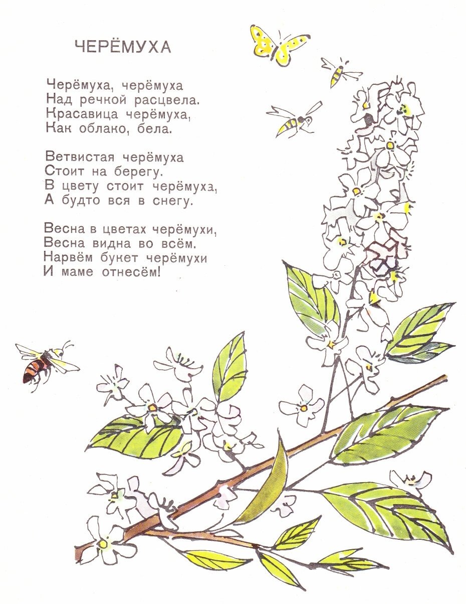 Стихотворение Есенина черемуха