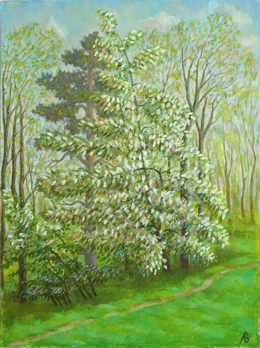 Есенин черёмуха душистая