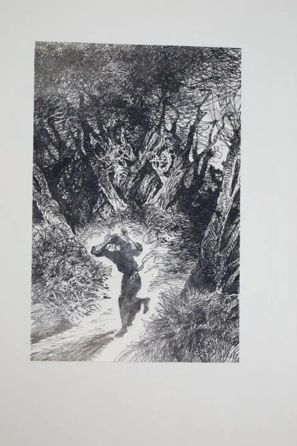 Мцыри бой с Барсом Тоидзе