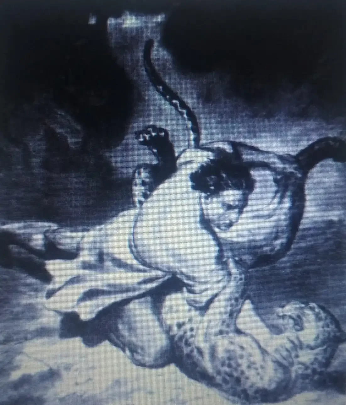 Двизова Ольга Владимировна