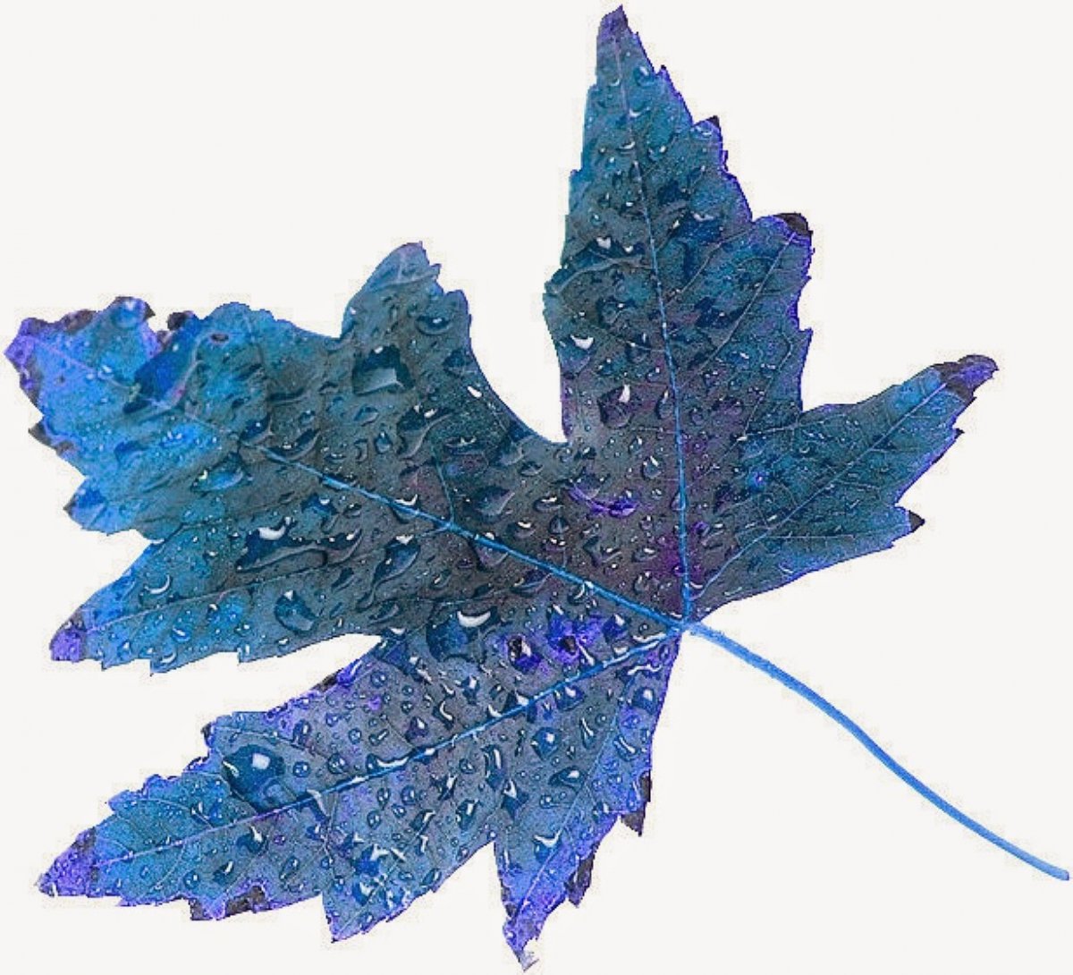 Рассказ Валентина Осеева обидчики