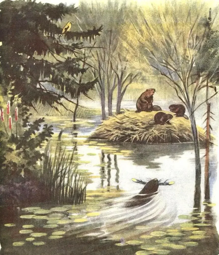 Вадим Вадимович Трофимов