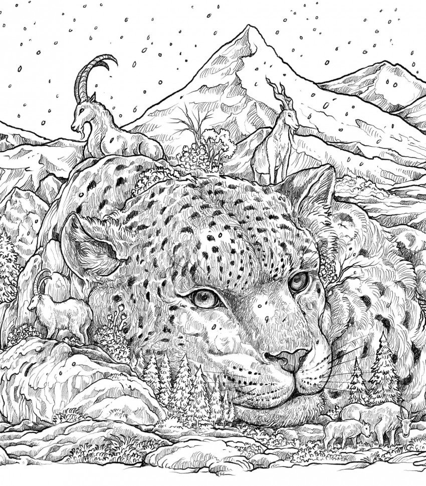 Хрупкий мир. Экстремальные раскраски. Каррел-Уильямс и.