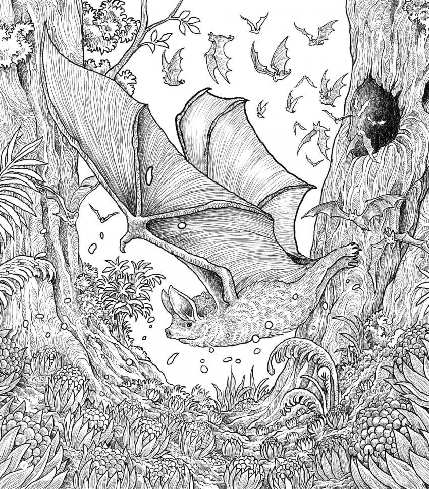 Кëрби Розанес