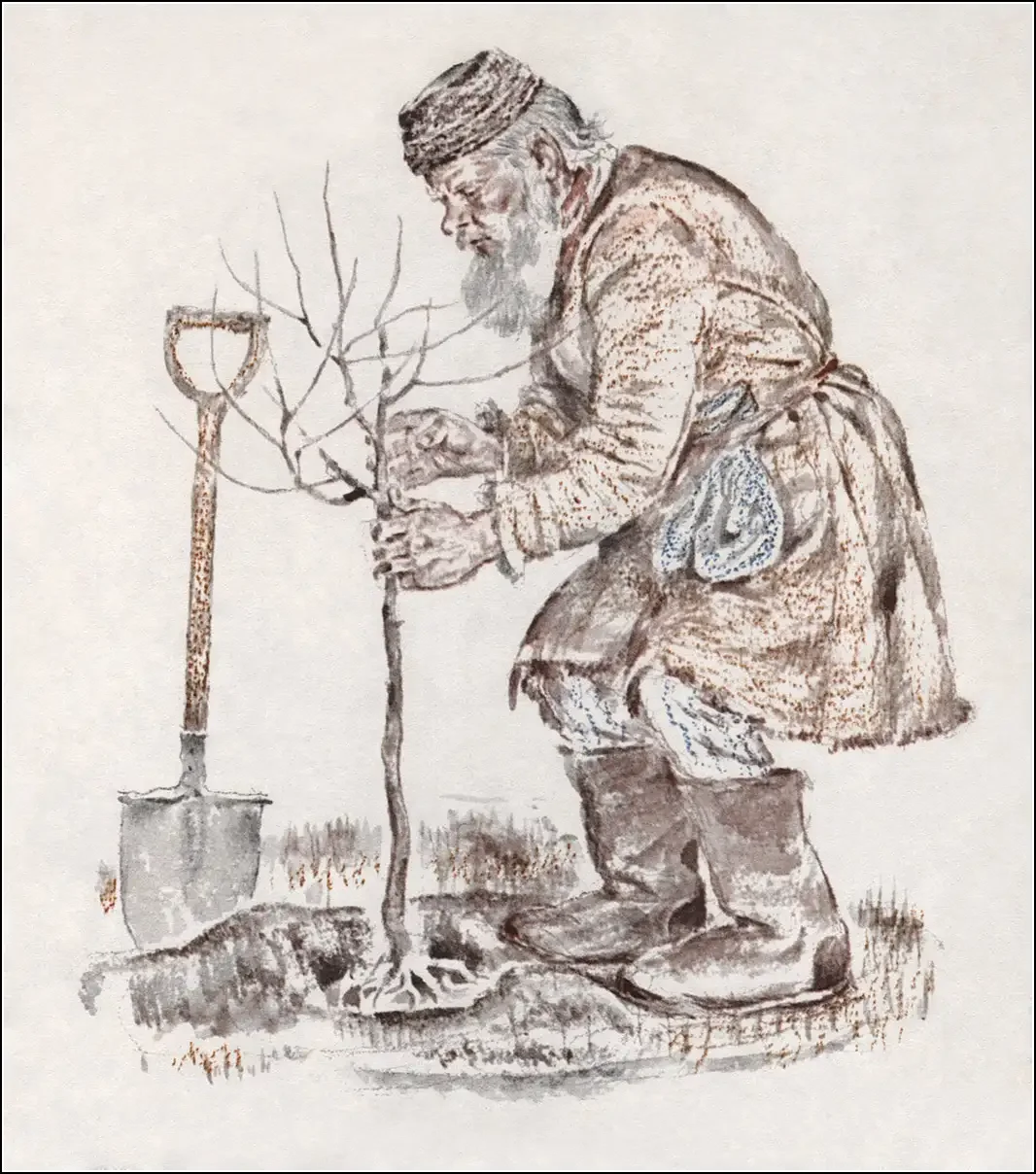 Лев толстой старик и яблони