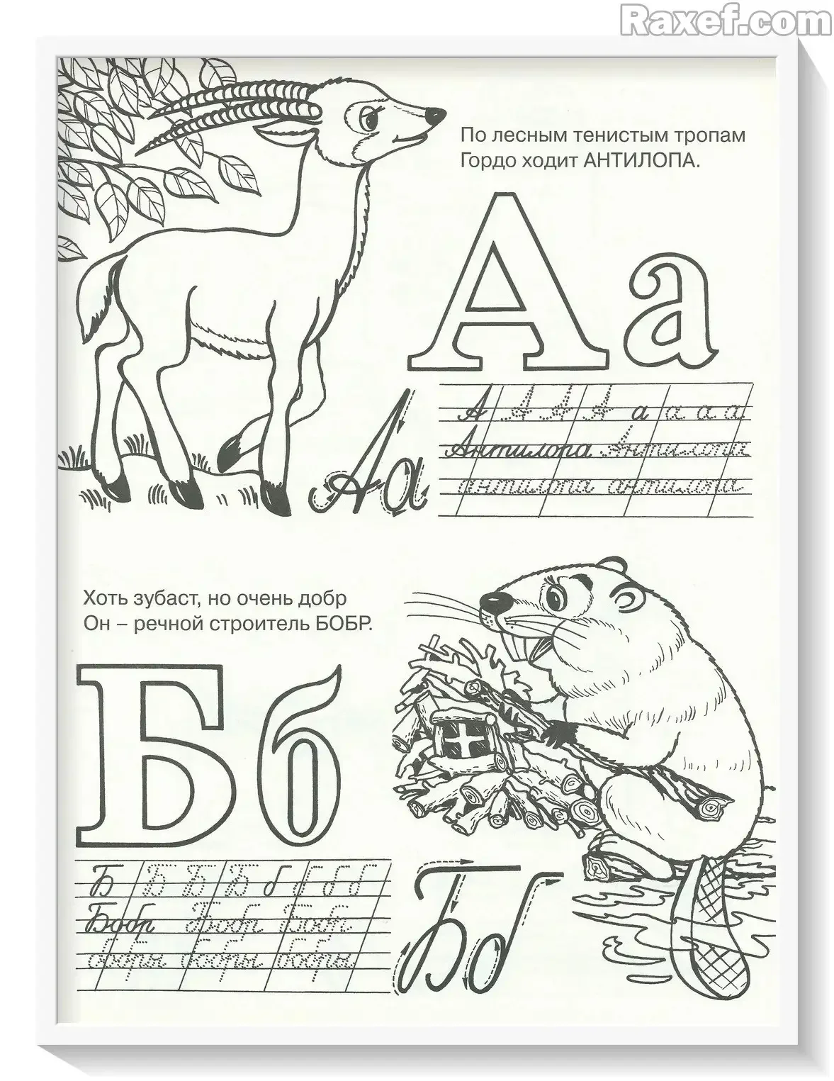 Азбука книга раскраска