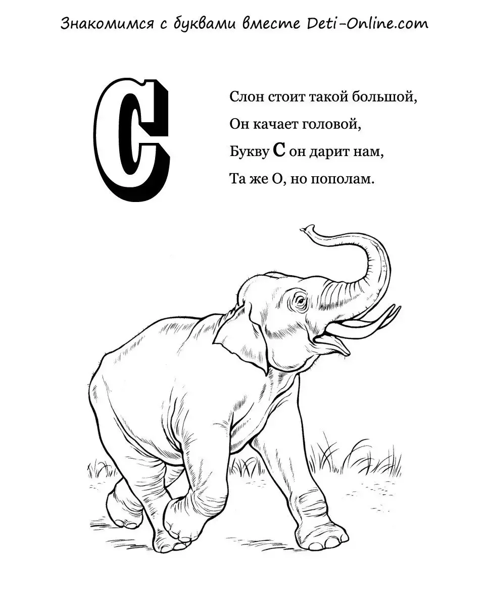 Буква с раскраска для детей слон