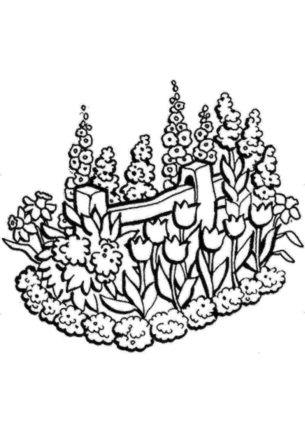 Раскраска цветы на клумбе