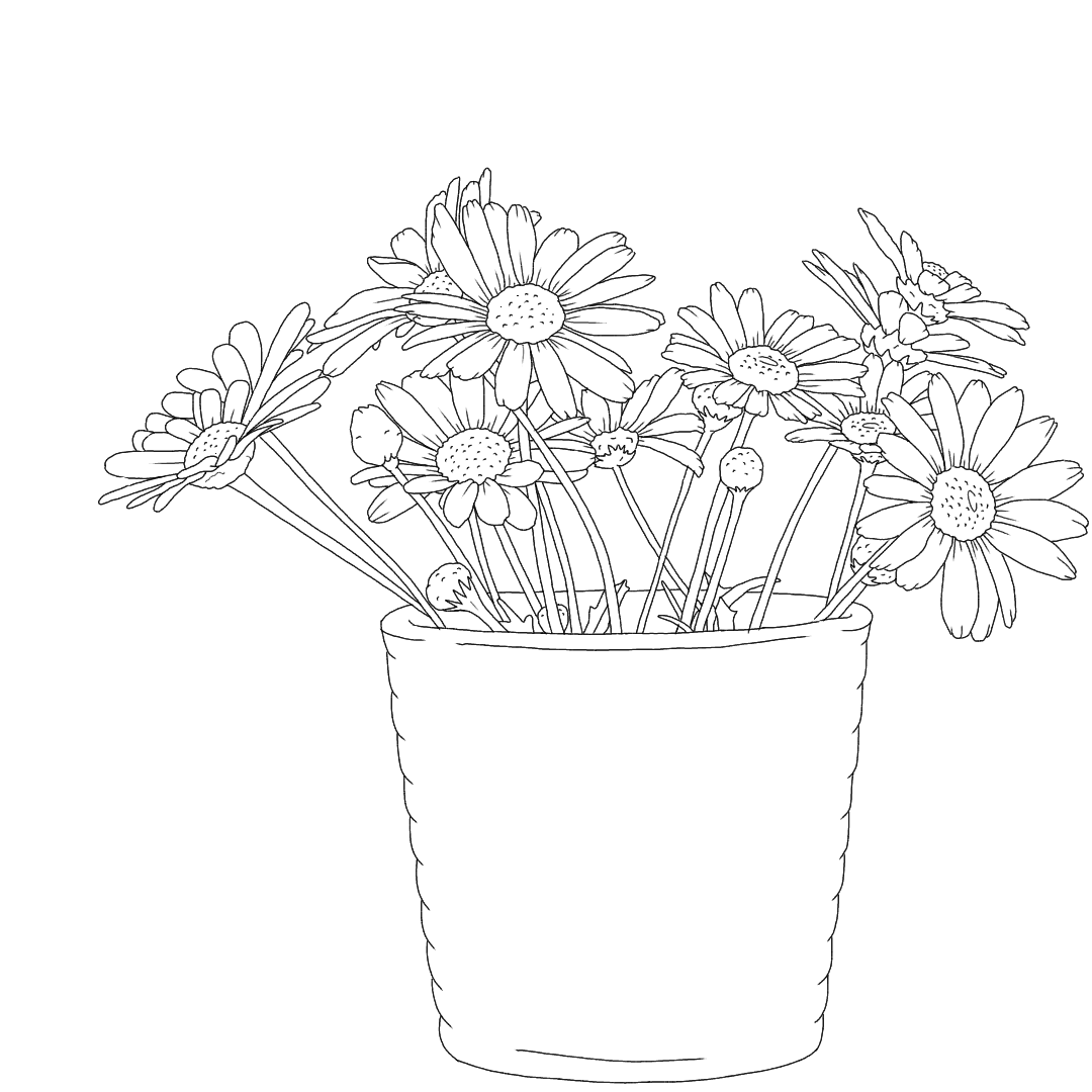 Клумба трафарет без цветов