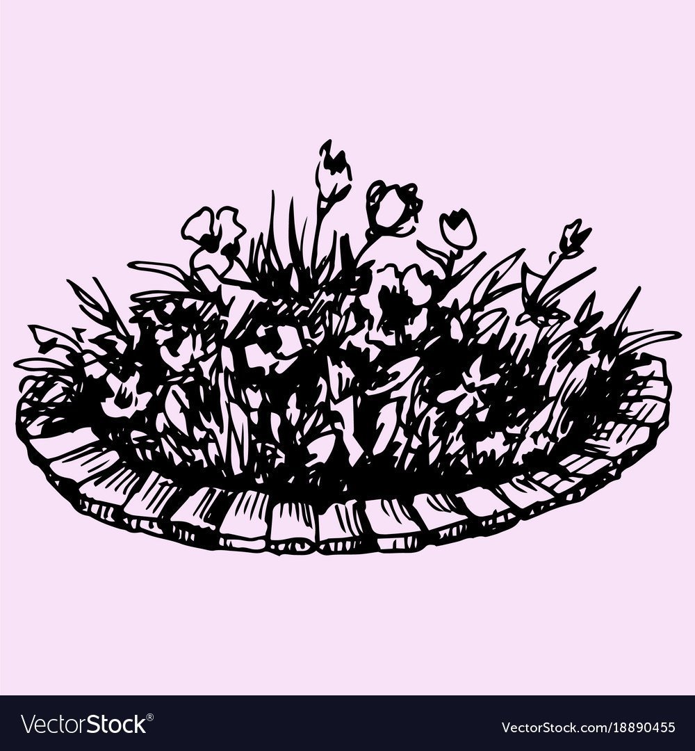 Рокарий Каменистый сад схема