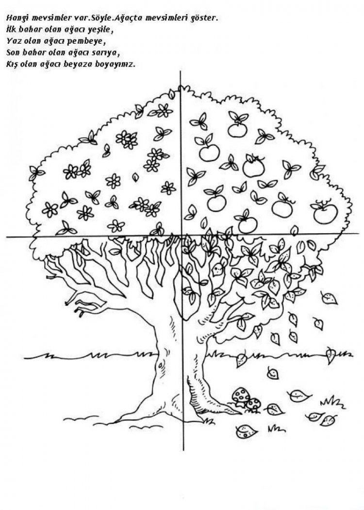 Задания для малышей о деревьях весной