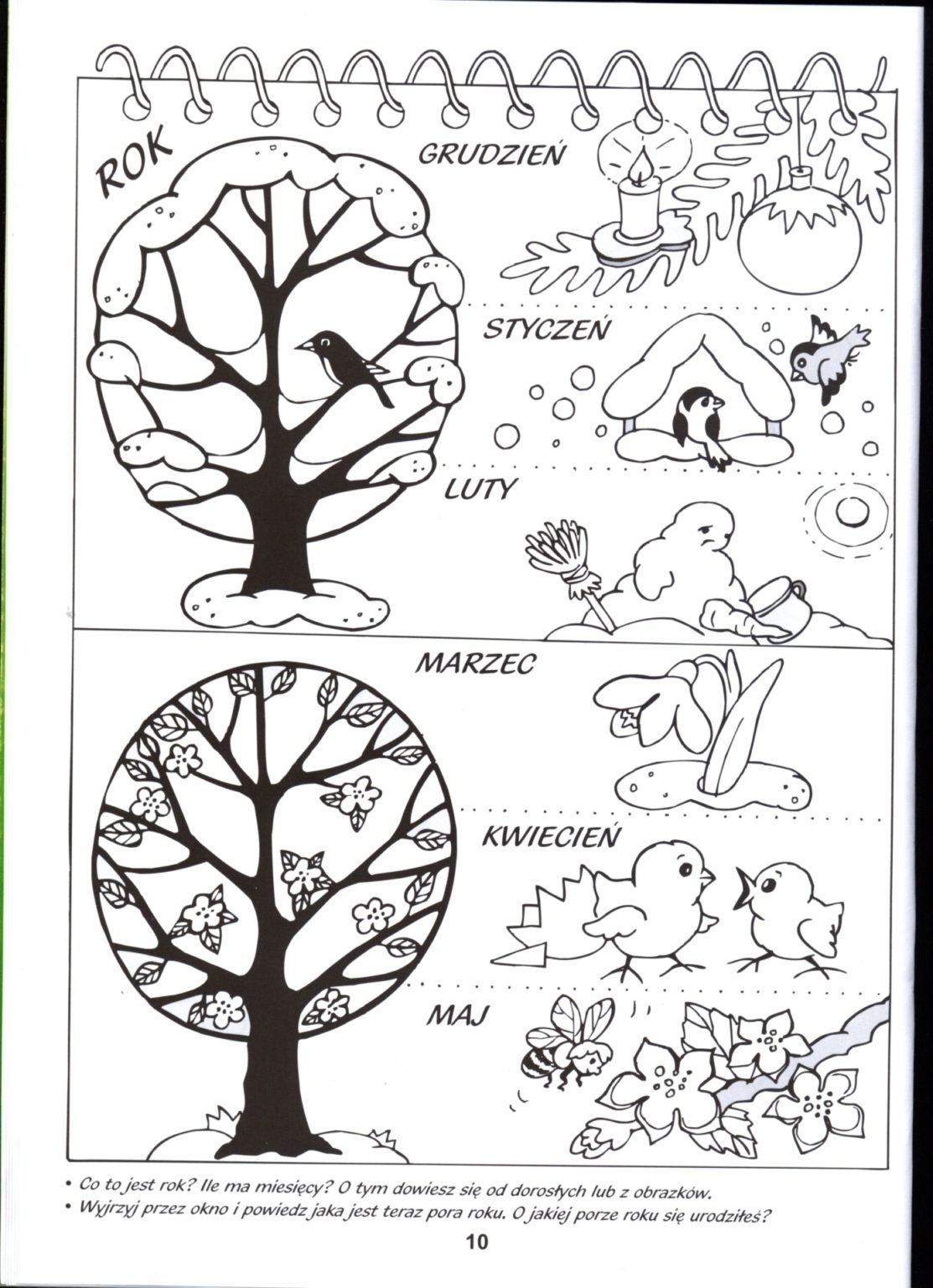 Задания по ознакомлению с окружающим для детей 5 6 лет