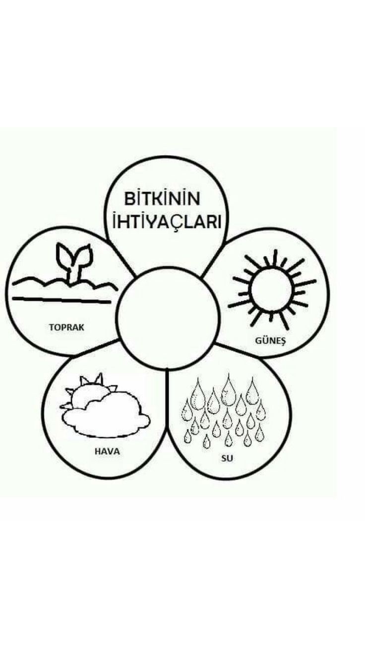 Год и месяцы
