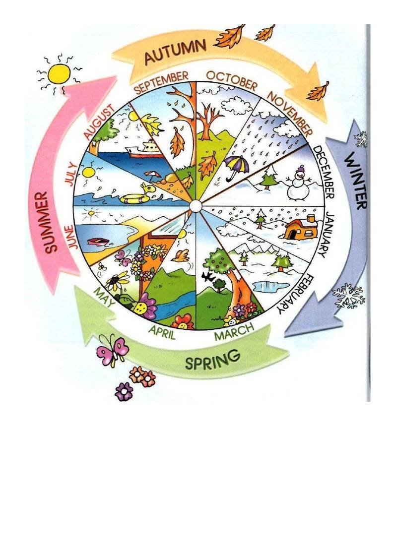 Сезонные изменения в природе раскраска