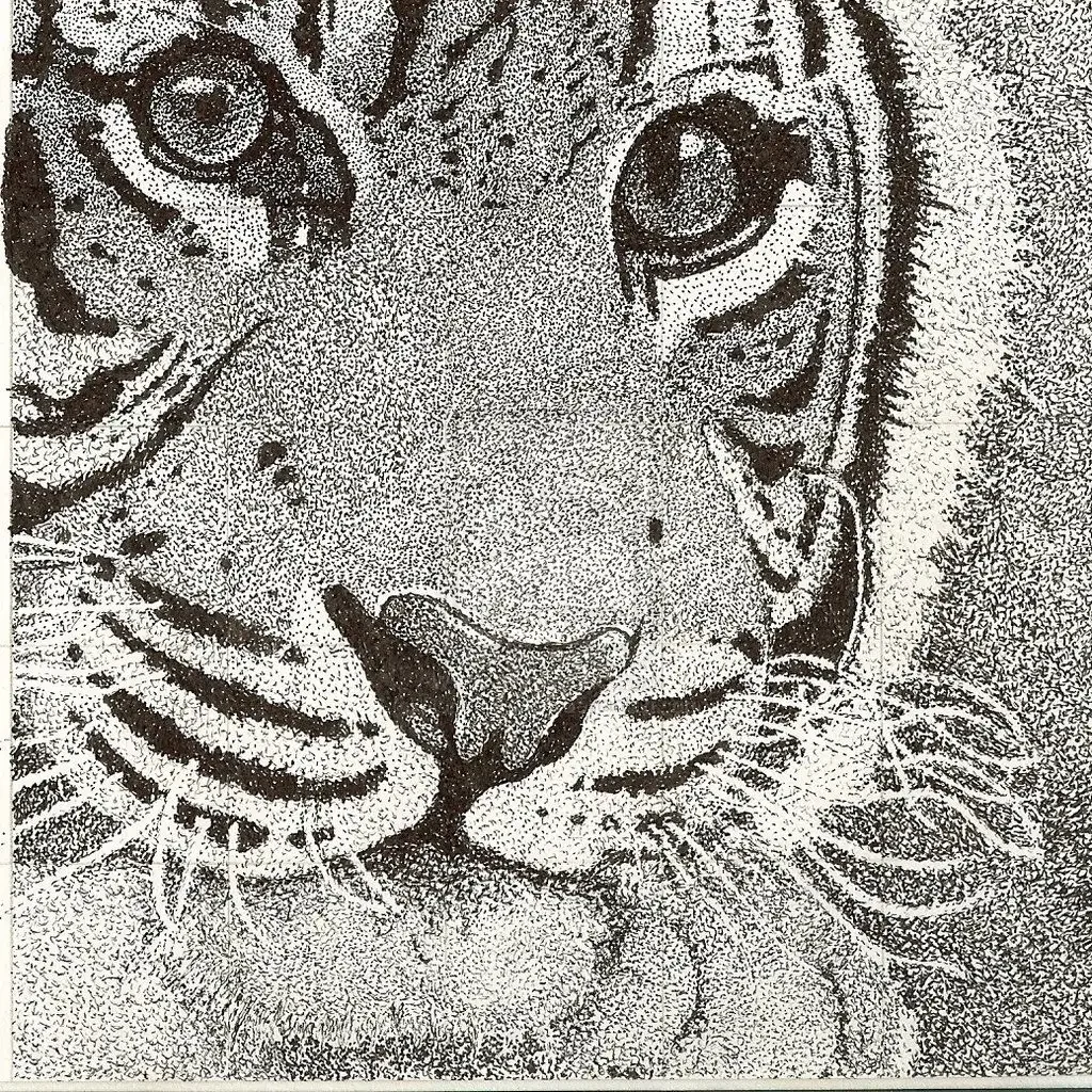 Точечная техника рисования карандашом