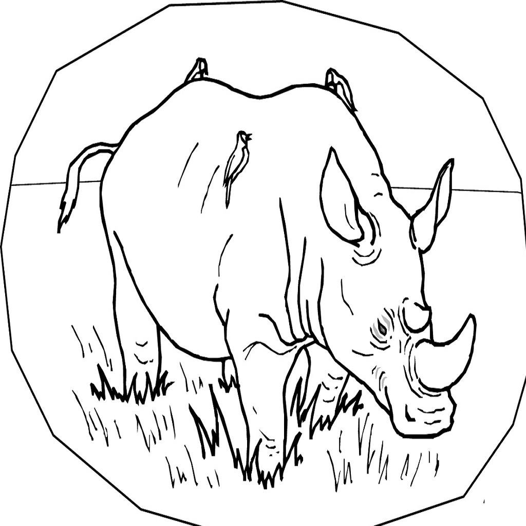 Игра с кротом, коровой, носорогом на айфон