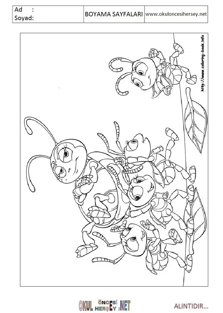 Муравей черно белый