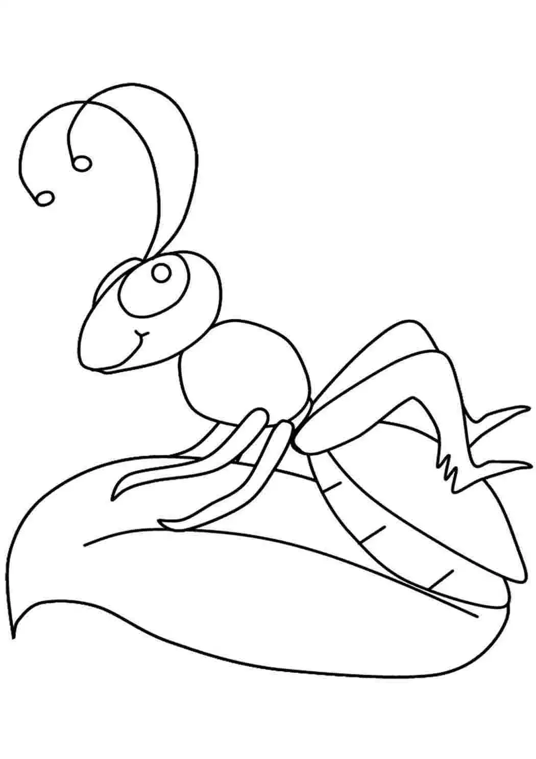 Приключения муравьишки раскраска