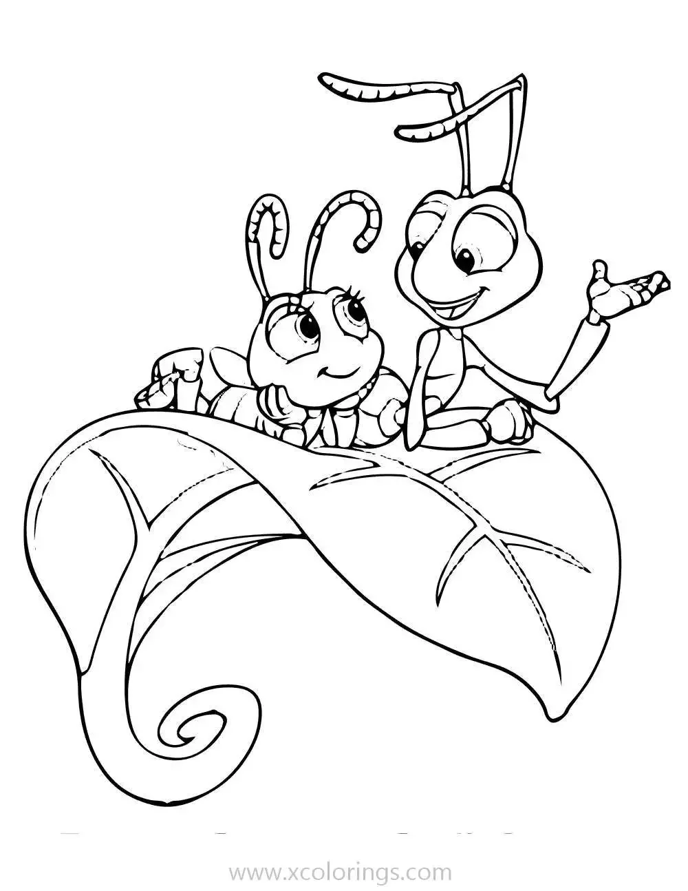 Паук сенокосец раскраска