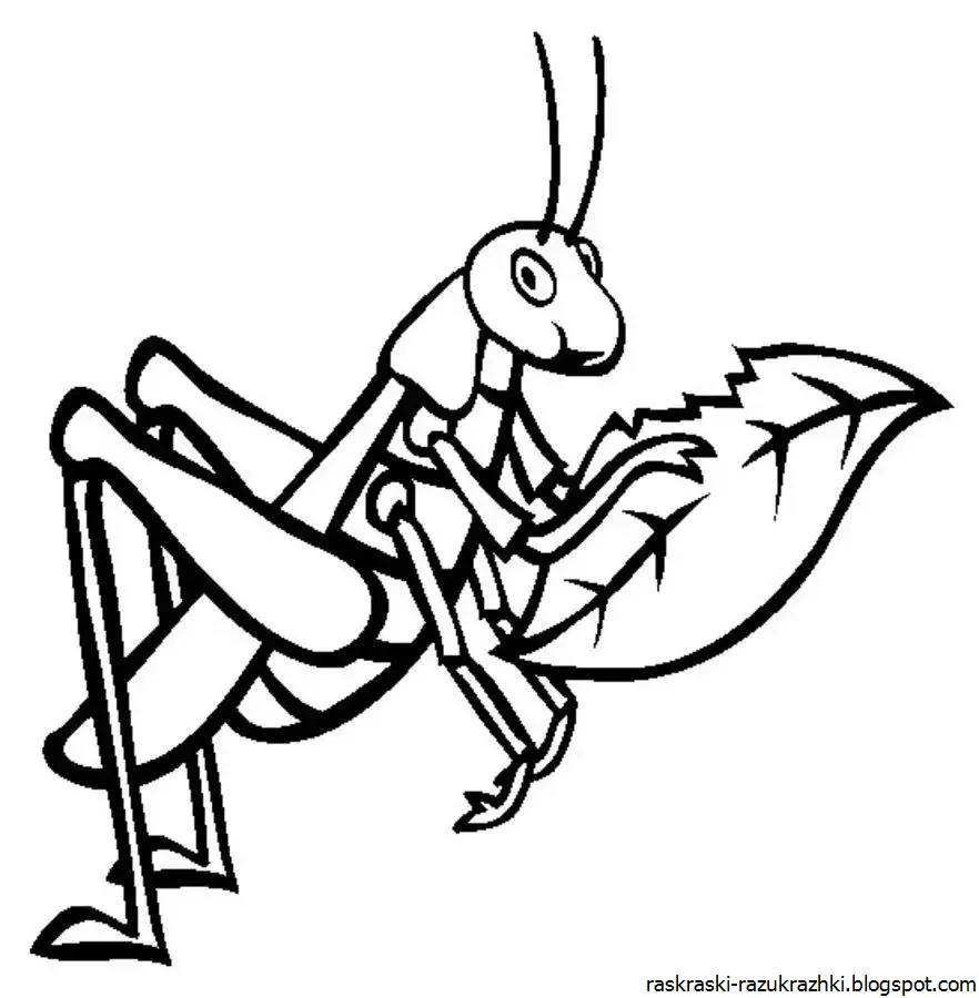 Раскраска муравей с рюкзаком