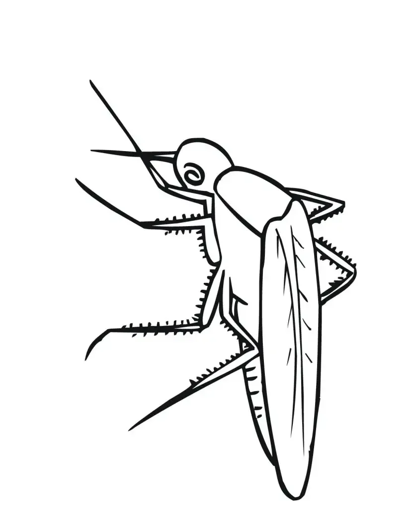 Раскраска комарик